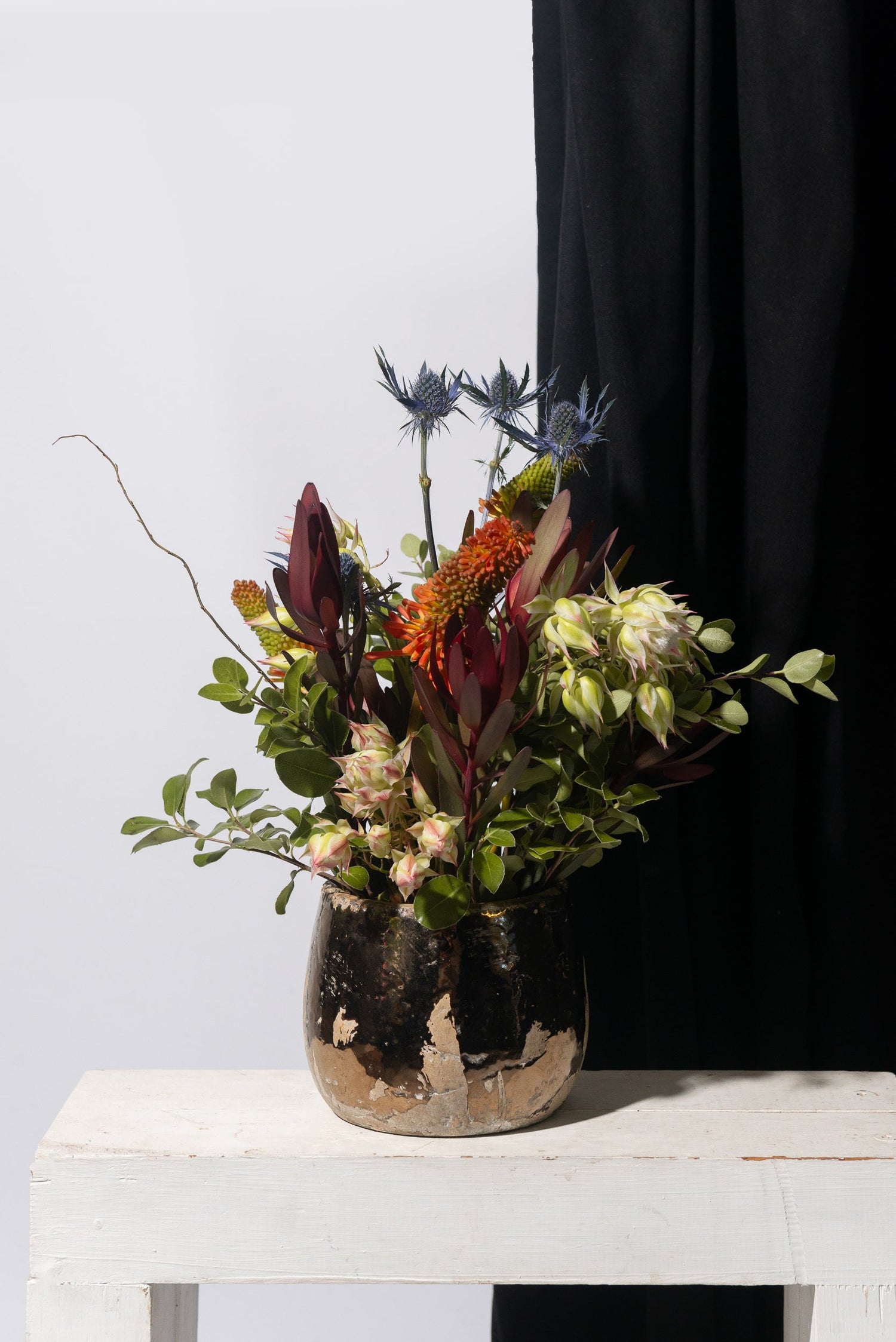 Winter Poetry WF2026 Collection for Home and Corporate