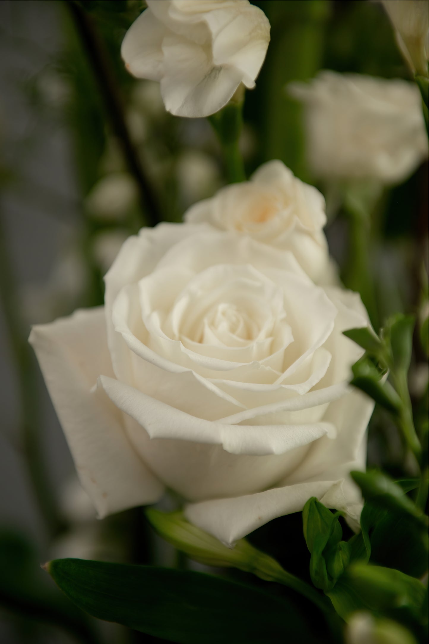 White Ceremony Display Arrangement