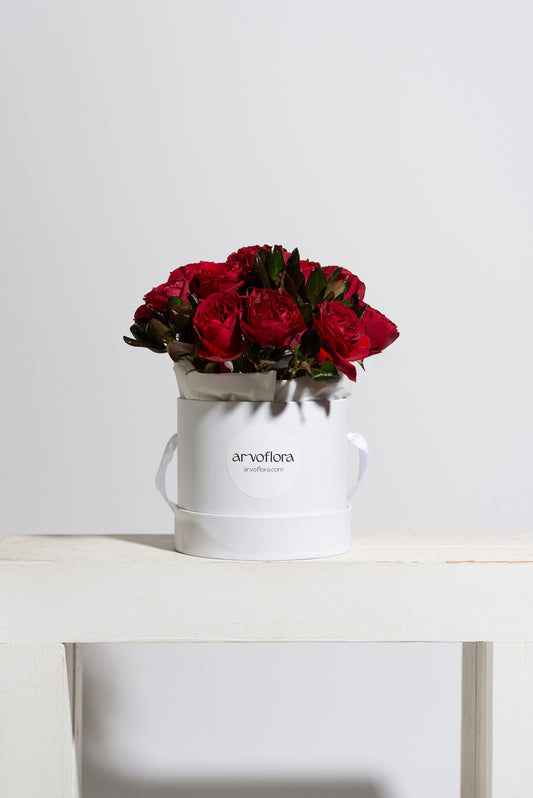 Red Roses Medium Box Posy